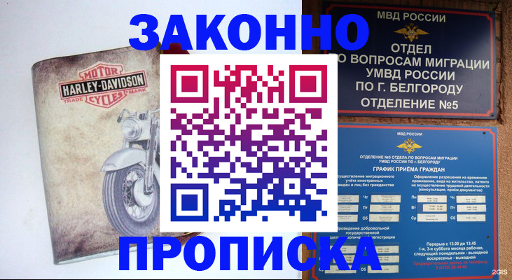 прописка для школы в Волгограде